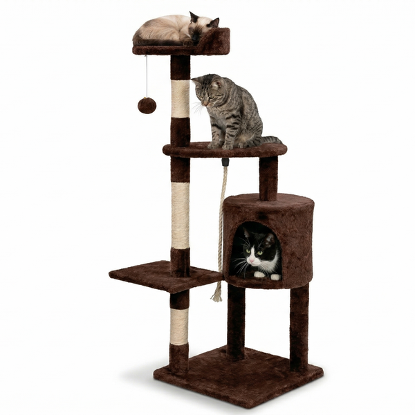 Petit Arbre à Chat | Émile
