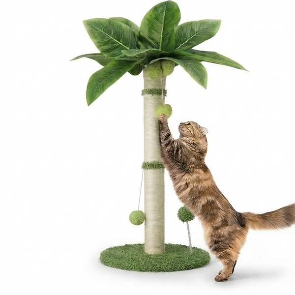 Griffoir à Chat | Prosper