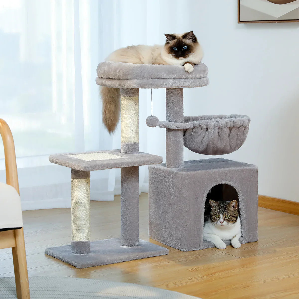 Petit Arbre à chat