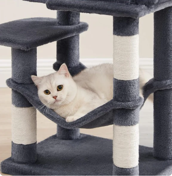 Arbre à Chat Bois | Alphonse
