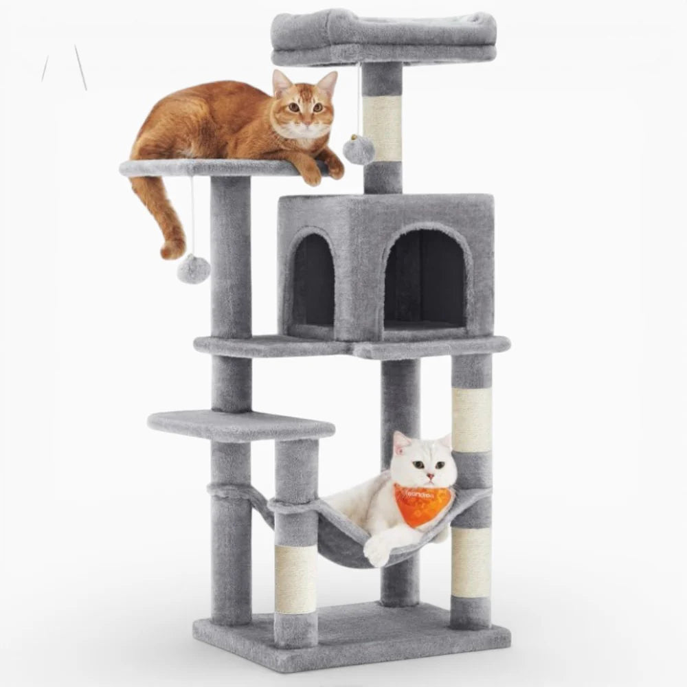 Arbre à Chat Bois | Alphonse