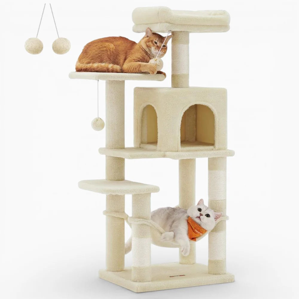 Arbre à Chat Bois | Alphonse