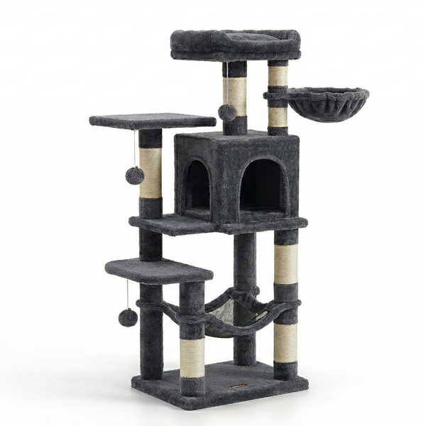 Arbre à Chat Bois | Alphonse