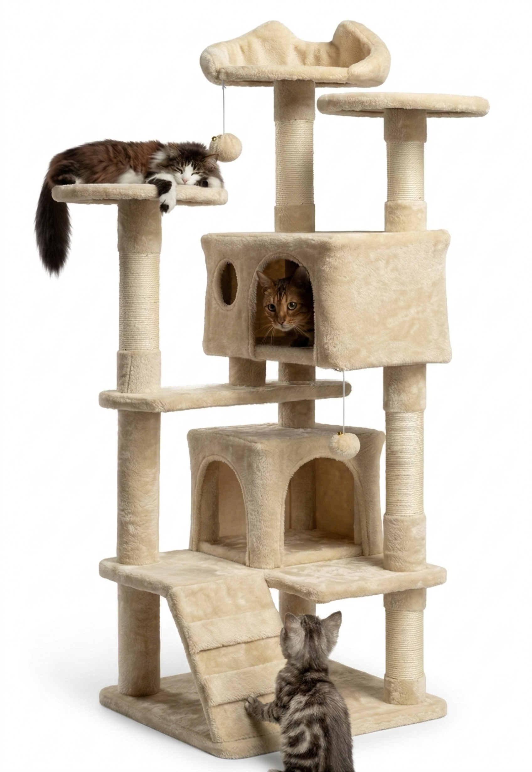 Arbre à Chat XXL | Augustin