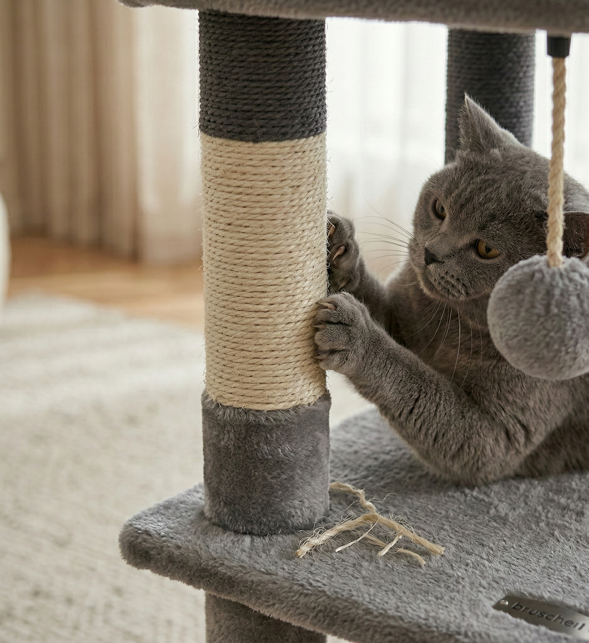 Arbre à Chat XXL | Augustin