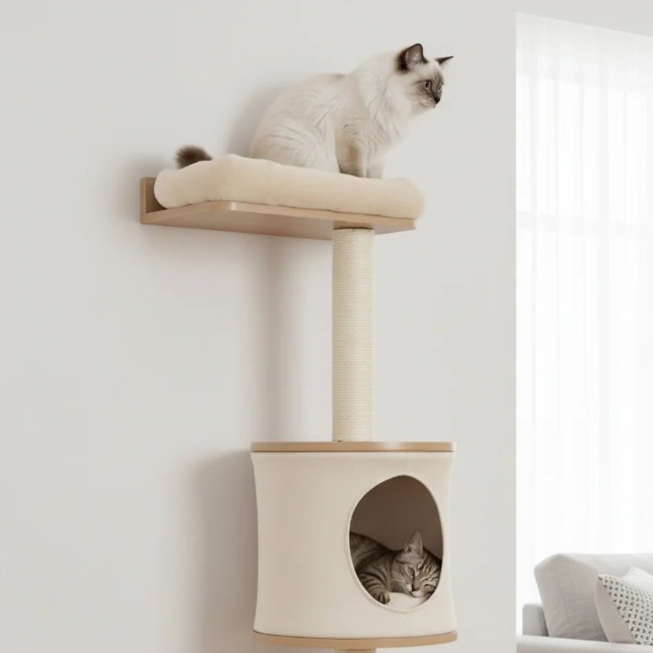 Arbre à Chat Mural | Gaston