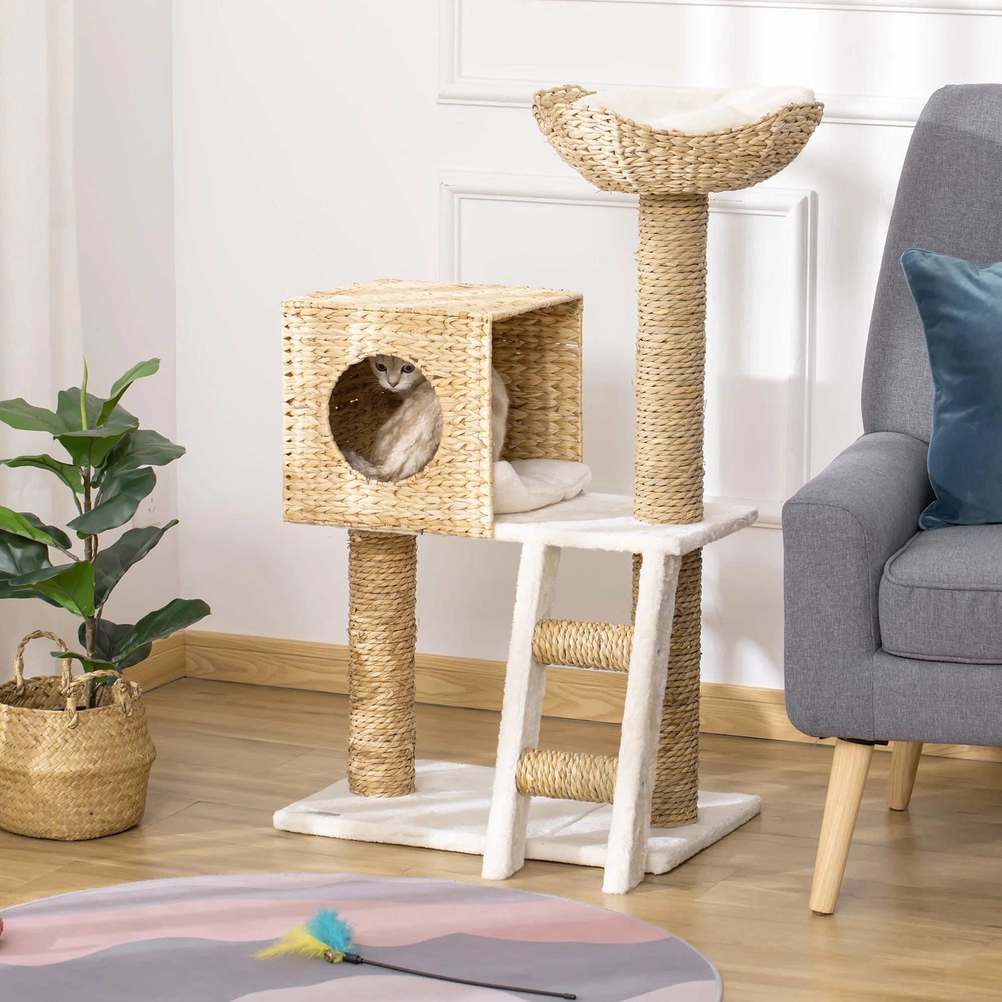 Griffoir à Chat | Noël
