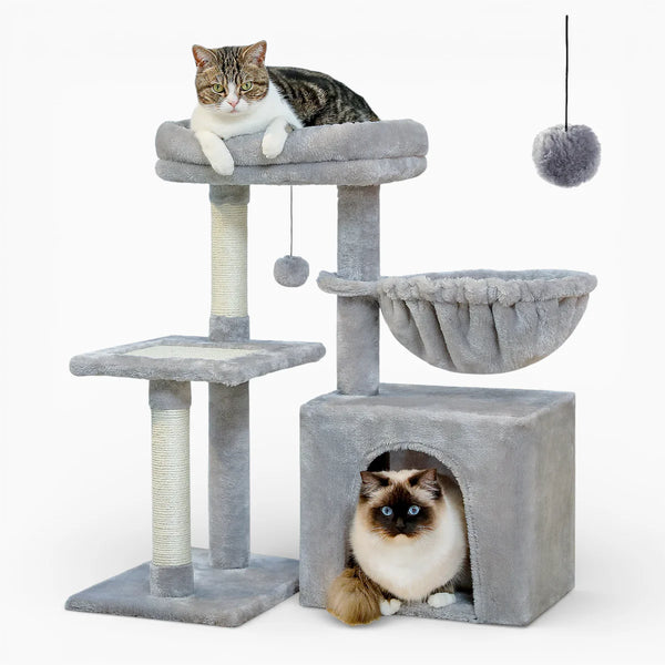 Petit Arbre à Chat | Octave