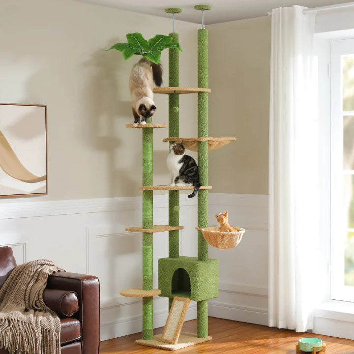 Arbre à Chat XXL | Théodore