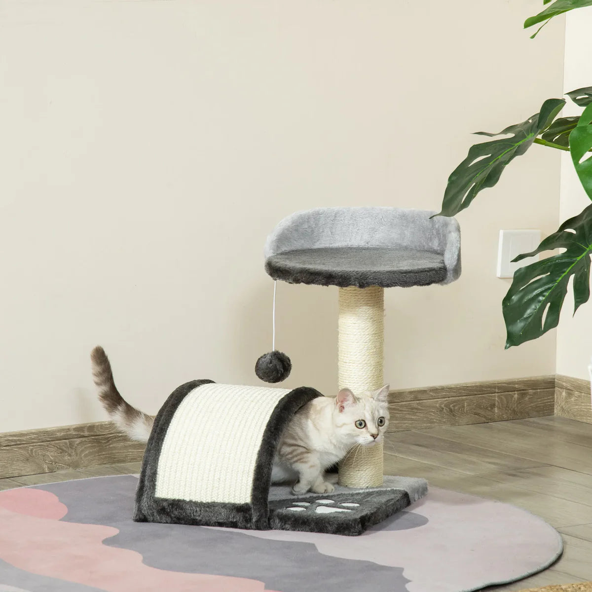 Griffoir à Chat | Léon