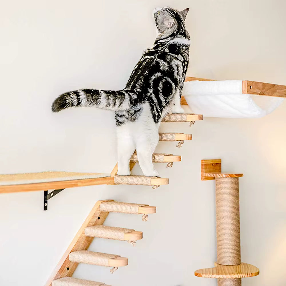 Arbre à Chat Mural | Anatole